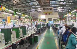 Binh chủng Hóa học xác định nguyên nhân vụ ngộ độc khí khiến hơn 100 công nhân nhập viện
