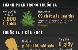 [Infographic] Thuốc lá và những con số khiến ai cũng sẽ giật mình