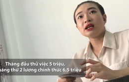 Nhiều người sập bẫy công ty môi giới việc làm