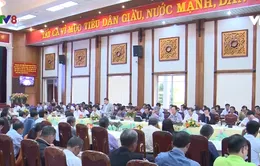 Gia Lai: Hội thảo kết nối cung cầu Hợp tác xã