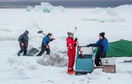 Greenland và vai trò trong việc dự đoán những thay đổi khí hậu của Trái Đất