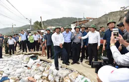 Phó Thủ tướng Trịnh Đình Dũng kiểm tra công tác ứng phó bão