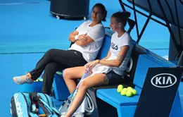 Karolina Pliskova chia tay với HLV Conchita Martinez