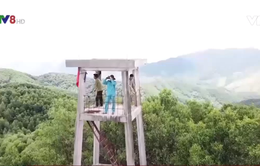 Quảng Trị: Người làm nhiệm vụ bảo vệ rừng bị hành hung