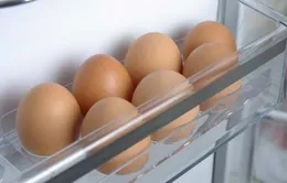 Mẹo hay giúp bạn bảo quản trứng lâu dài