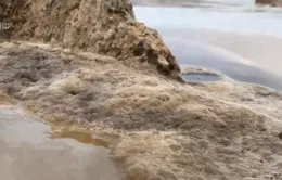 Nước biển màu đen ở Quảng Ngãi không có mùi lạ