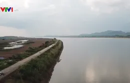 Cảnh báo hậu quả nghiêm trọng từ việc nước sông Mekong đổi màu