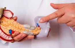 Thuốc làm tiêu biến khối u ung thư tuyến tụy trong 14 ngày