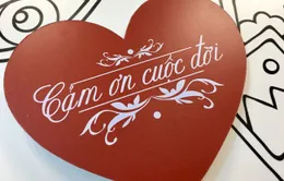 Cảm ơn cuộc đời 2019: Cảm ơn vì đã trao lòng tin