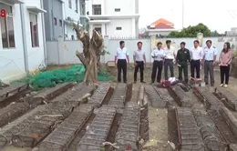 Khánh Hòa tiêu hủy tang vật khai thác thủy sản trái phép