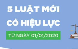 5 luật mới có hiệu lực từ ngày 1/1/2020