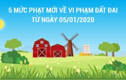 5 mức phạt mới về vi phạm hành chính trong lĩnh vực đất đai từ tháng 1/2020