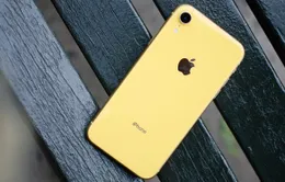 Các nhà bán lẻ ngừng bán iPhone XR tại Việt Nam vì ế ẩm