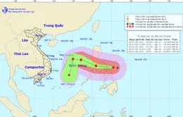 Bão Kammuri giật cấp 17 đang tiến gần biển Đông