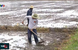 Dự báo thiên tai dài hạn giúp hạn chế rủi ro trong sản xuất