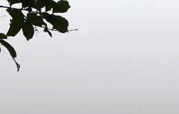 Hà Nội chìm trong sương mù như ở Sa Pa