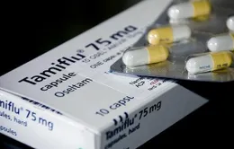 Thuốc Tamiflu đang khan hiếm