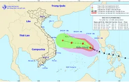 Các tỉnh, thành phố ven biển từ Thanh Hóa đến Bình Thuận chủ động với diễn biến của bão