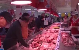 Trung Quốc rã đông thêm 30.000 tấn thịt lợn chờ Tết