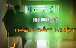 Vì sao nhiều điều dưỡng, hộ lý Việt Nam thành công trên đất Nhật?