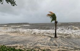 Bão Sarai áp sát Fiji, cảnh báo nguy cơ lũ quét