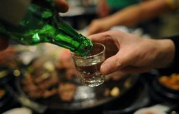 Bia rượu và mức độ ảnh hưởng tới sức khỏe