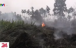 Cháy rừng thiêu rụi diện tích hơn 1,6 triệu ha đất rừng tại Indonesia