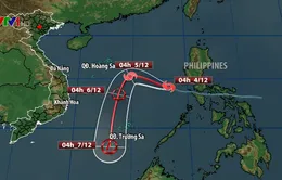 Bão số 7 đạt cấp 11, cách huyện đảo Trường Sa 540km về phía Đông Đông Bắc