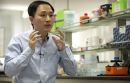 Công trình chỉnh sửa gene của nhà khoa học Trung Quốc có thể đã thất bại