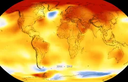 2019 có thể là năm nắng nóng kỷ lục