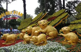 Tết Kỷ Hợi từ khóa được tìm kiếm nhiều nhất của người Việt trong tuần qua