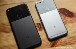 Google Pixel - Thương hiệu smartphone phát triển nhanh nhất tại Mỹ