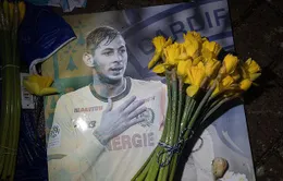 Cardiff City tìm cách giảm hoặc miễn trả phí chuyển nhượng Emiliano Sala