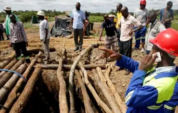 Zimbabwe: Hơn 60 thợ mỏ có thể đã thiệt mạng trong tai nạn mỏ vàng