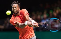 Gael Monfils giành chức vô địch giải Rotterdam mở rộng 2019