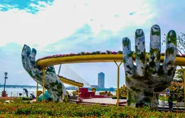 Đường hoa xuân Kỷ Hợi ở Đà Nẵng chính thức mở cửa đón khách