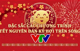 [INFOGRAPHIC] Đặc sắc các chương trình Tết Nguyên đán Kỷ Hợi 2019 trên sóng VTV