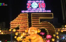 Đường hoa Xuân Cần Thơ rực rỡ, làm từ 80.000 chậu hoa tươi