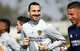 Zlatan Ibrahimovic quyết tâm phá mọi kỷ lục ở MLS