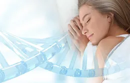 Phát hiện gene gây ngủ