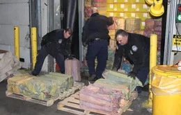 Thu giữ 1,5 tấn ma túy tại New York, Mỹ