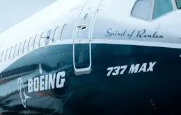 Hàng không Anh ngừng khai thác máy bay Boeing 737 MAX