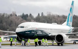 Thêm nhiều quốc gia ra lệnh đình chỉ bay với Boeing 737 MAX 8