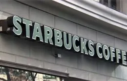 Starbucks phục vụ sữa từ yến mạch