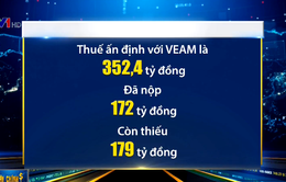 Khai sai mã số, VEAM bị Hải quan Hà Nội ấn định thuế hơn 352 tỷ đồng