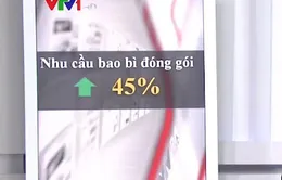 Ngành công nghiệp đóng gói bao bì Việt Nam thu hút các nhà đầu tư ngoại