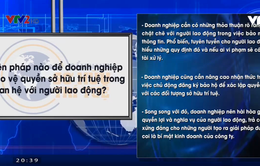 Biện pháp nào để doanh nghiệp bảo vệ quyền sở hữu trí tuệ trong quan hệ với người lao động?