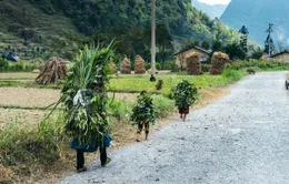 PTL Người quê: Chuyện trên cao nguyên đá