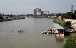 Chìm phà ở Mosul (Iraq), ít nhất 72 người thiệt mạng