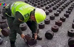 Colombia thu giữ 1,5 tấn cocaine